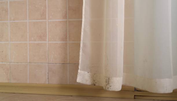Best Commercial Mold Inspection  in Coopersville, MI