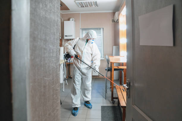 Best Mold Removal for HVAC Installations  in Coopersville, MI