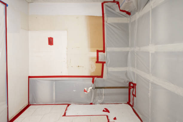 Best Mold Damage Restoration  in Coopersville, MI