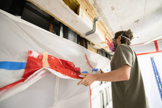 Professional Mold Removal in Coopersville, MI