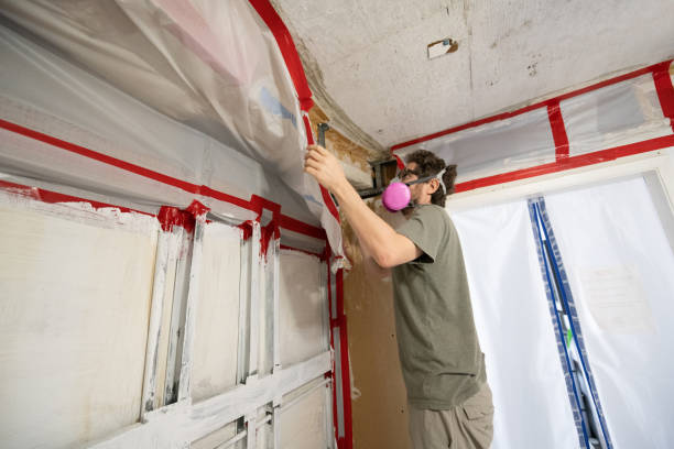 Best Mold Damage Restoration  in Coopersville, MI
