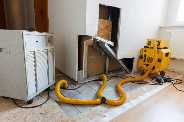 Dehumidification Services in Coopersville, MI