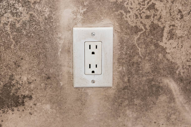  Coopersville, MI Mold Removal Pros