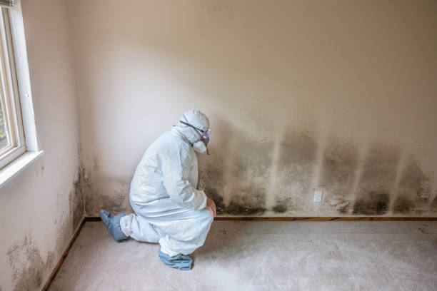 Best Forensic Mold Investigation  in Coopersville, MI