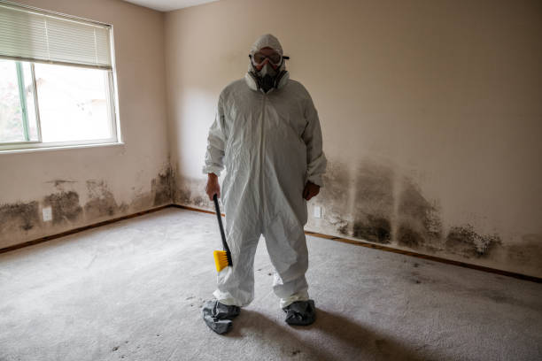 Best Biohazard Mold Removal  in Coopersville, MI